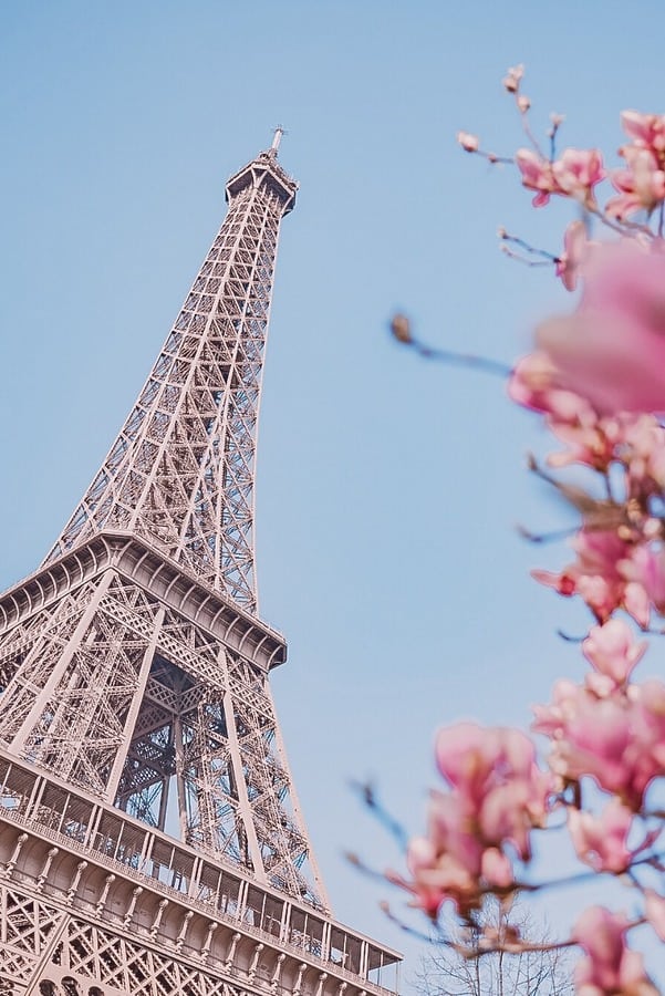 春天的埃菲尔铁塔巴黎4天行程