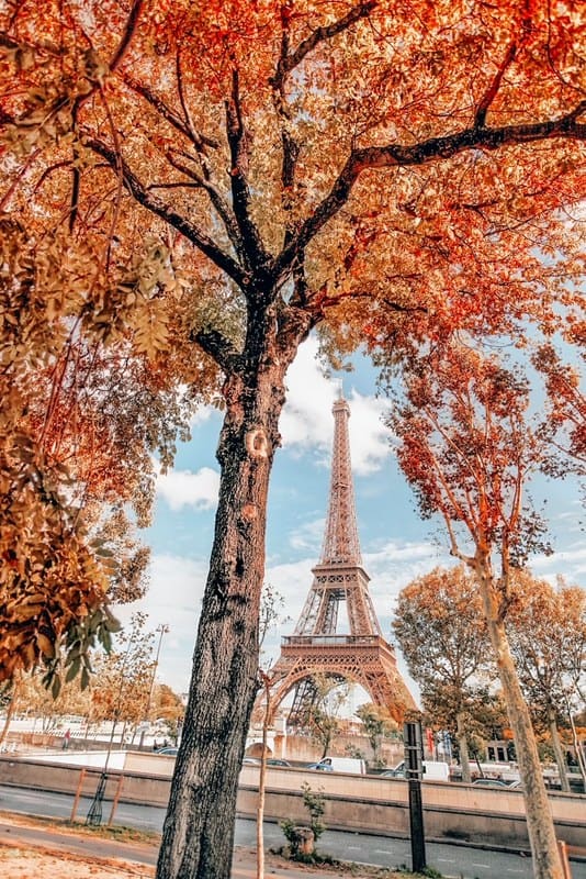 秋天的巴黎埃菲尔铁塔