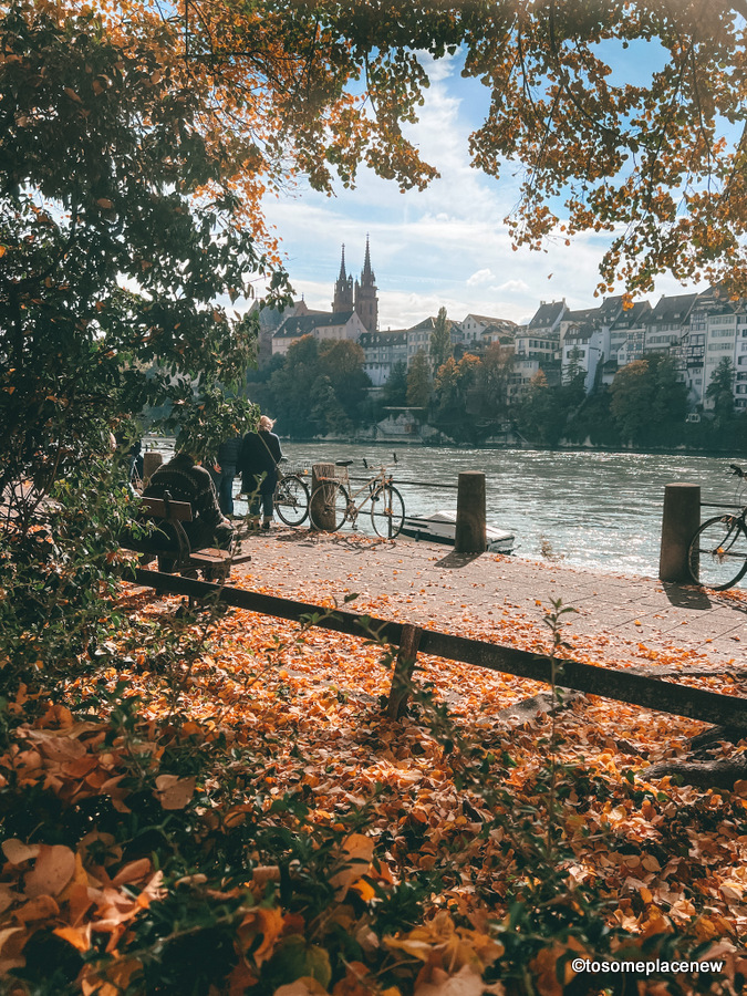 巴塞尔的秋天，莱茵河漫步