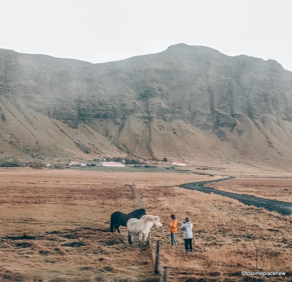 冰岛最好的导游精心挑选，以满足每个旅行者的需求。bob娱乐游戏平台无论你是喜欢探险旅行还是城市徒步旅行，我们都能满足你。