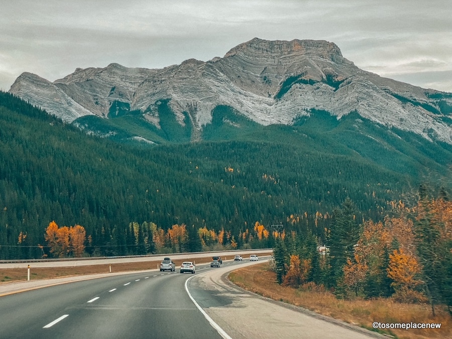 开车穿过加拿大的落基山脉