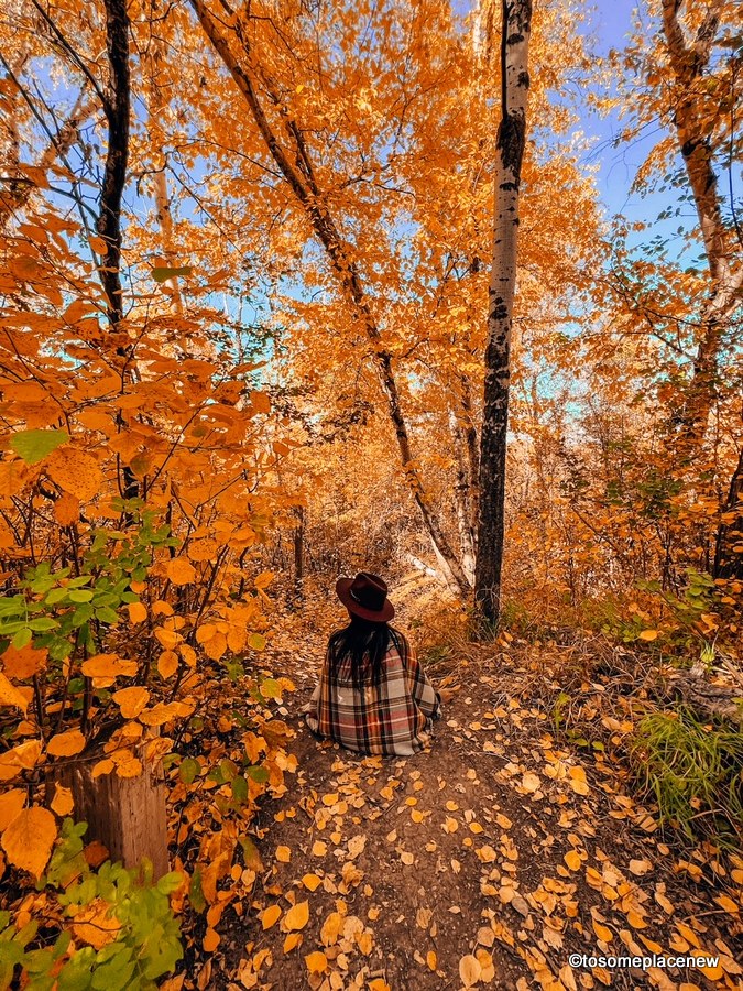 女孩戴着格纹围巾的秋天照片