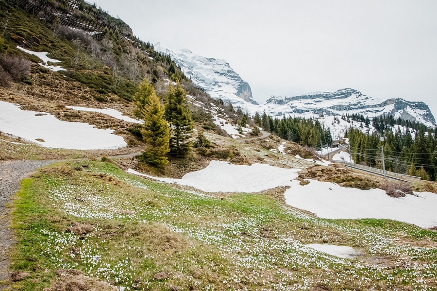 瑞士冬季徒步旅行