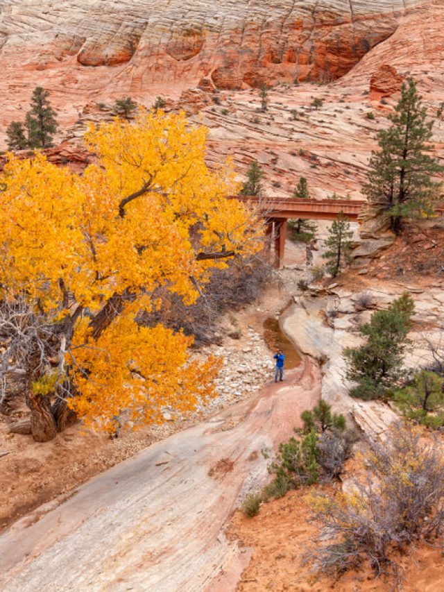 Best places to visit in the United States in the fall